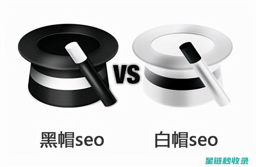 快速收录与高排名的关键